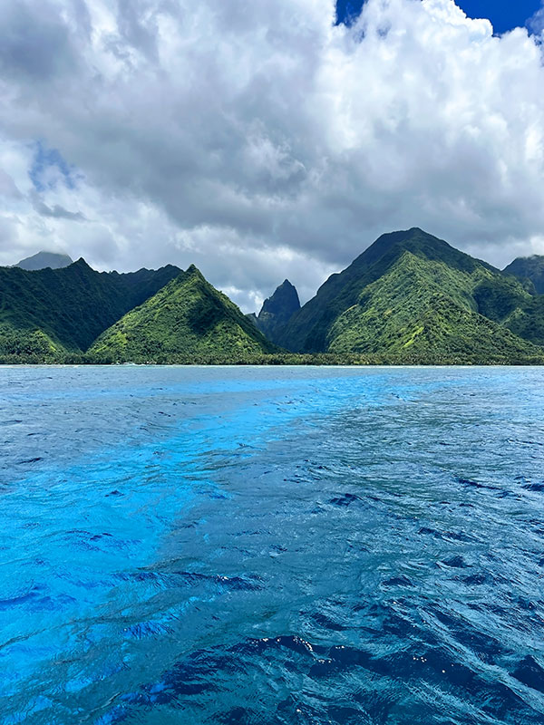 Fenua Aihere: wild land