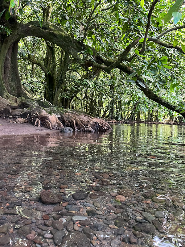 the Vaipoiri River