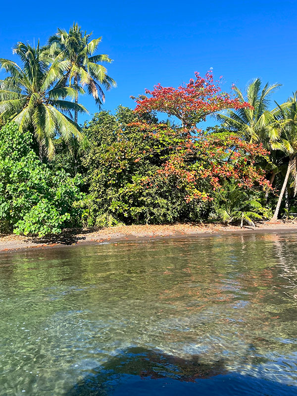 Vaipoiri River