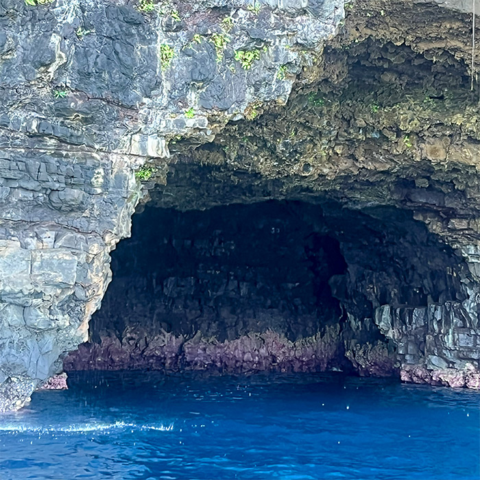 Full-day nautical excursion