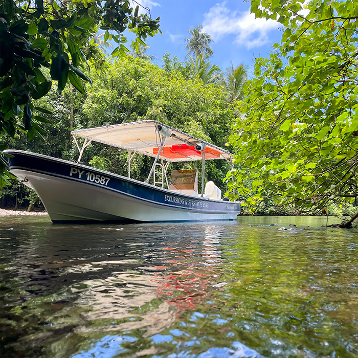Half-day nautical excursion