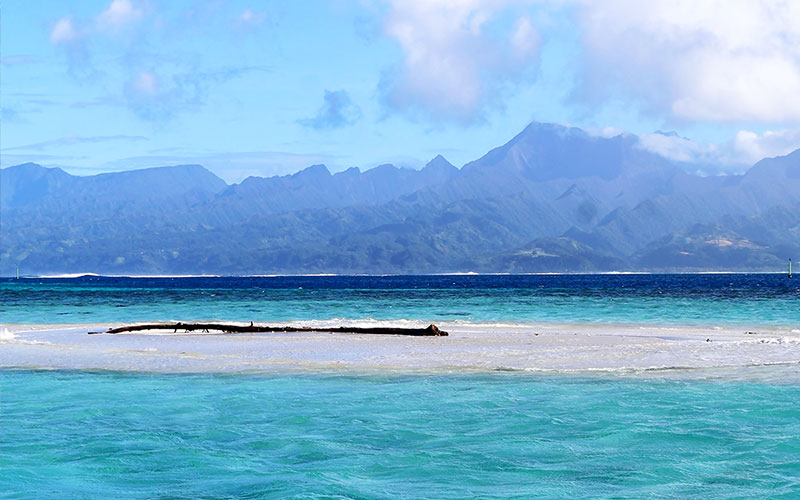 Sandbank